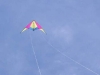 cerfvolant
