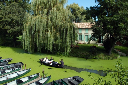 Les secrets du Marais Poitevin