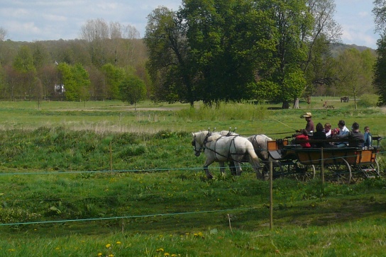 Week-end nature dans le Marais Vernier