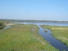 Week-end nature dans le Marais Vernier