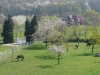 Week-end nature dans le Marais Vernier