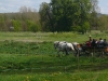 Week-end nature dans le Marais Vernier