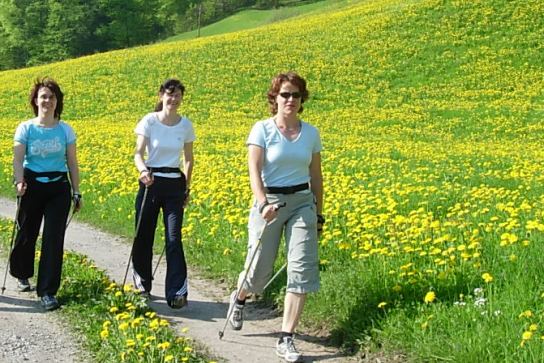 Nordic walking dans le Jura