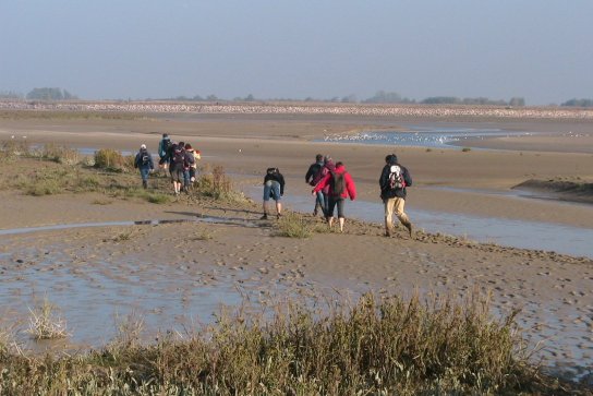 Week-end Nature en Baie de Somme