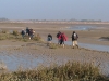 baie-de-somme-42