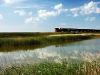 petit-train-de-la-baie-de-somme