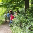 Chasse au trésor environnementale au Bois de Vincennes