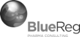 BlueReg Groupe
